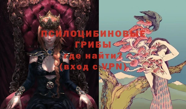 хмурый Алексин