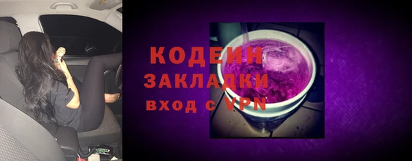 хмурый Алексин