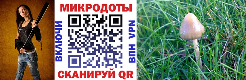 Псилоцибиновые грибы Magic Shrooms Купить Тарко-Сале